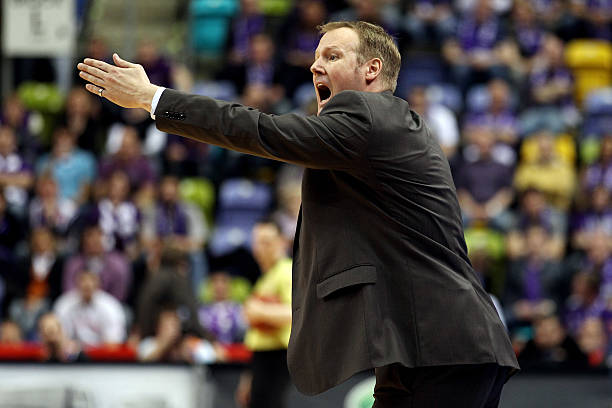 区内的手球 区内的手球